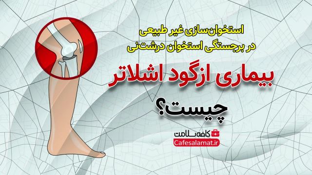 بیماری ازگود اشلاتر چیست؟