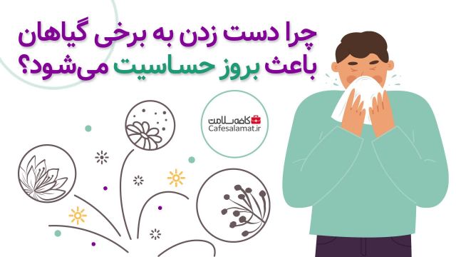 چرا دست زدن به برخی گیاهان باعث بروز حساسیت می‌شود؟